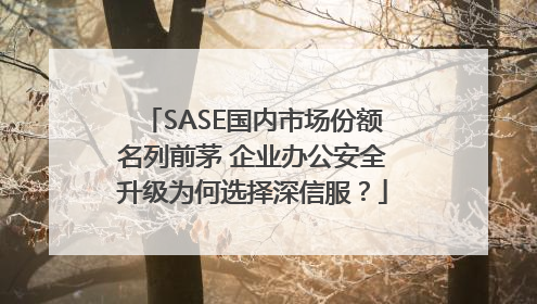 SASE国内市场份额名列前茅 企业办公安全升级为何选择深信服？